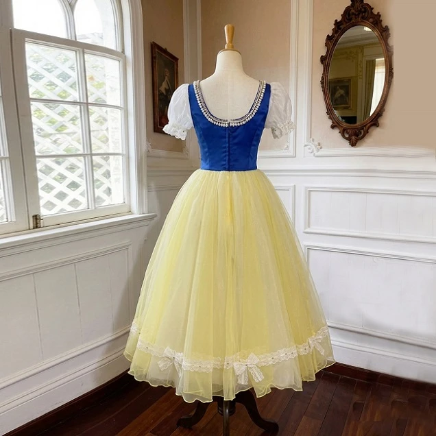Robe de performance de ballet de style folklorique &agrave; fleurs bleues jaunes | R1611