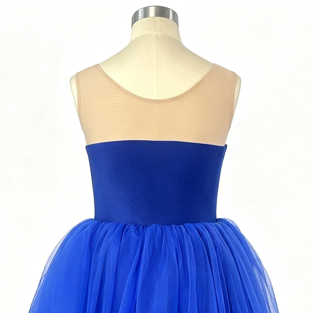 Royal Blue Sequin Floral Applique Ballet Dress | XGZ0250